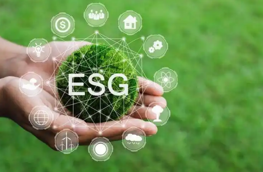 ESG对企业公司可持续发展申请流程通常包括步骤范围