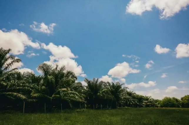 ecovadis社会责任评级对企业工厂2025年核心变化与要求标准
