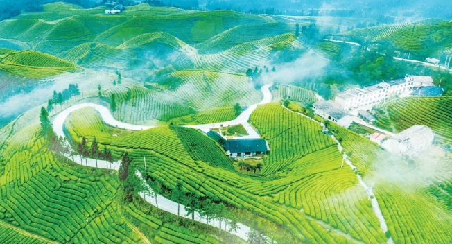 ecovadis社会责任对企业四个维度体系评估可持续发展