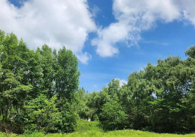 EcoVadis环境模块对废弃物填埋填报逻辑分析